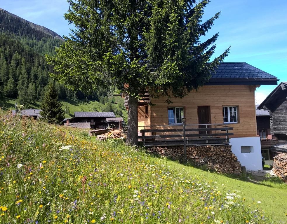 Chalet Daheim Reckingen Екстериор снимка